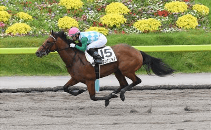 競走馬珍名 ランキング – いけいけどんどん 元ネタ – SJGZY