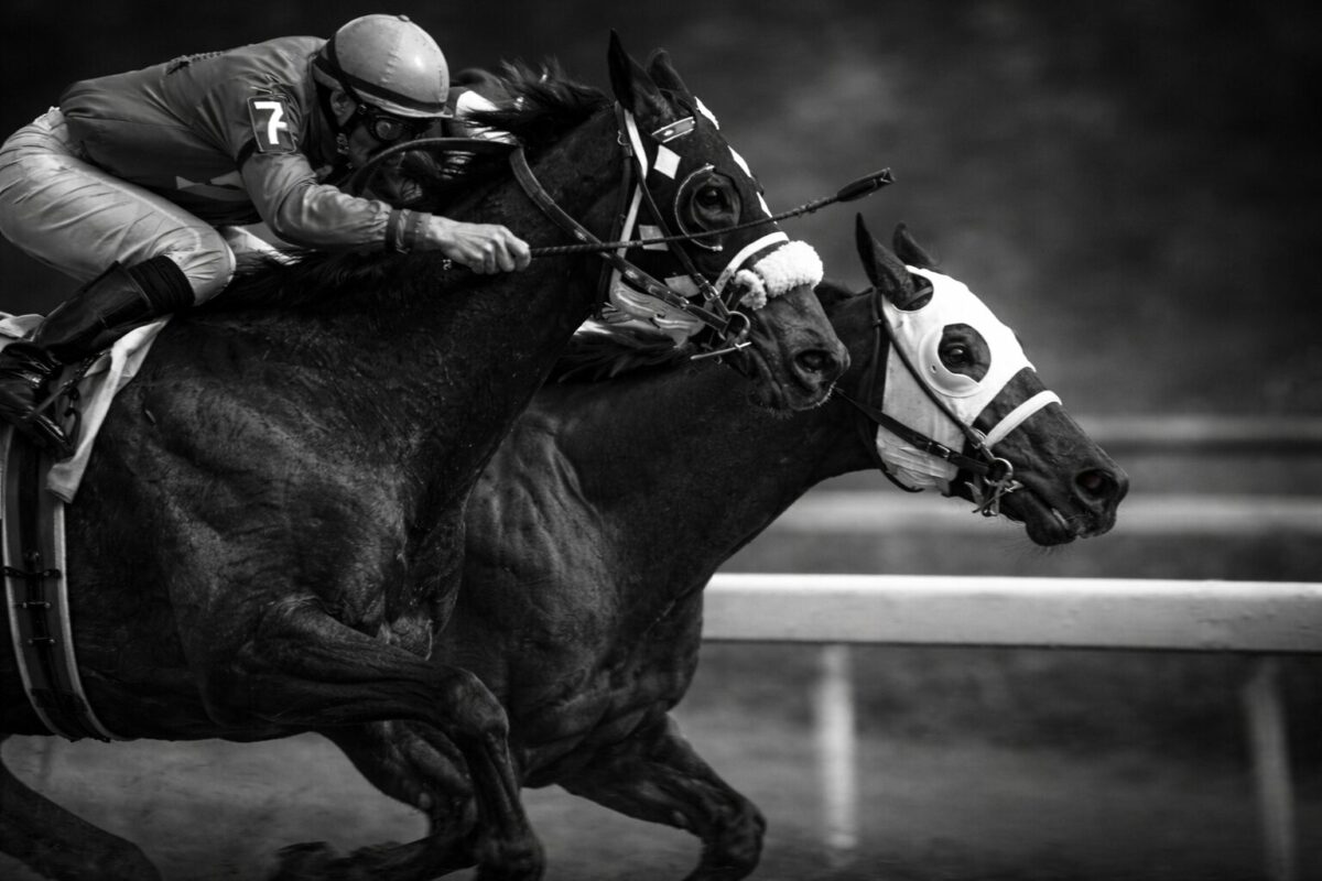 horseharbor-race-image-1