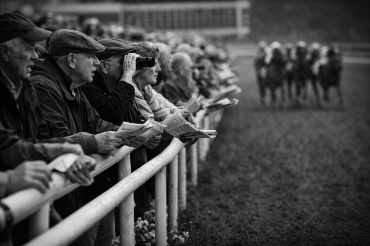 horseharbor-race-image-6